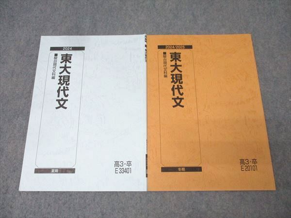 駿台 東京大学 東大現代文 国語テキストセット 2024 夏期/冬期 計2冊
