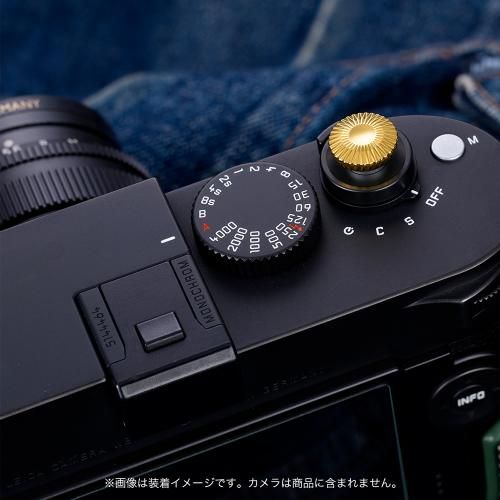 シャッターボタン モダンゴールド