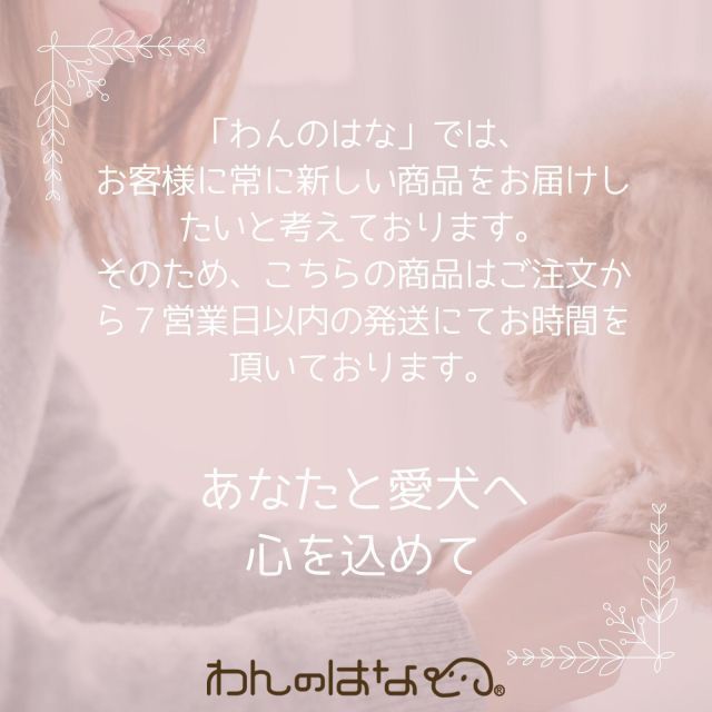 天使のつばさ 安心おひつぎと旅立ち衣装Lサイズ