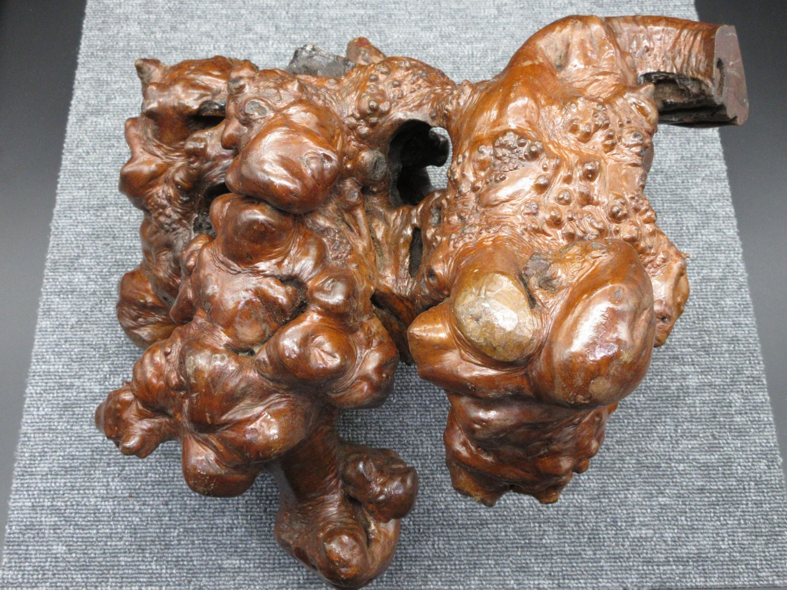 自然木 天然木 天然樹 木根瘤造形 木根工芸 置物 type-F - メルカリ 自然