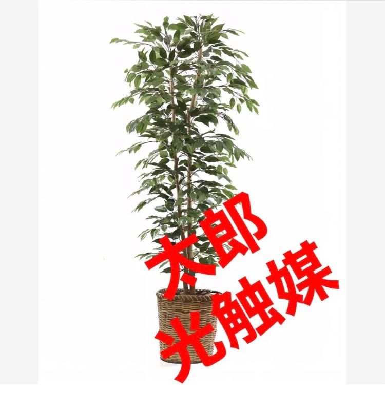 光触媒人工観葉植物ウォールグリーンフェイクフラワーバンヤンツリー