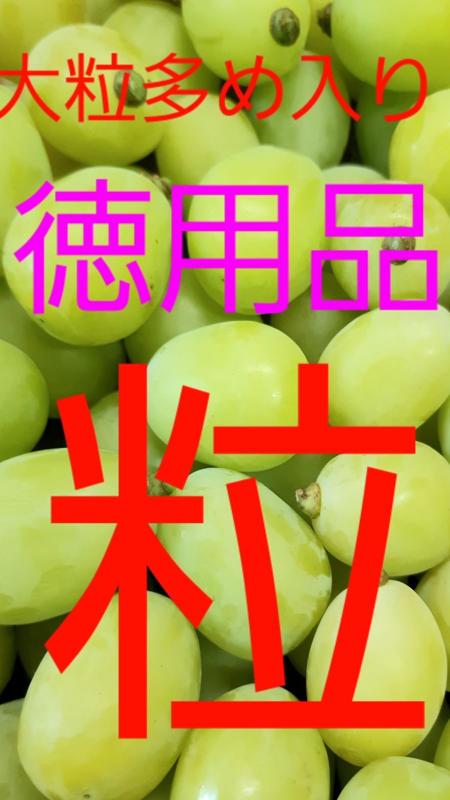 シャインマスカット新春徳用品5キロ入りの粒バック入りになります。 シャインマスカット限定徳用5キロ入りの粒バック入りになります