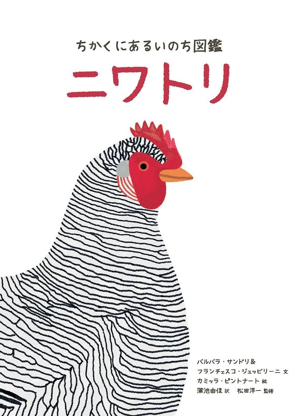 ちかくにあるいのち図鑑 ニワトリ