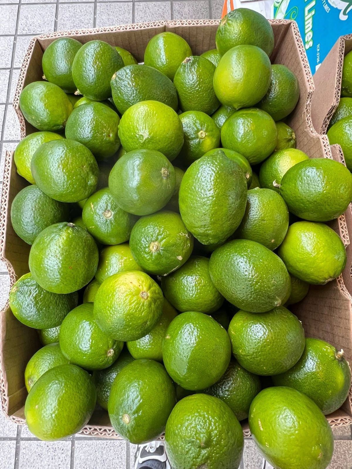 生鮮 メキシコ産ライム