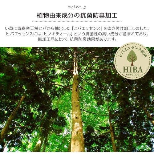 抗菌防臭 裏ばり