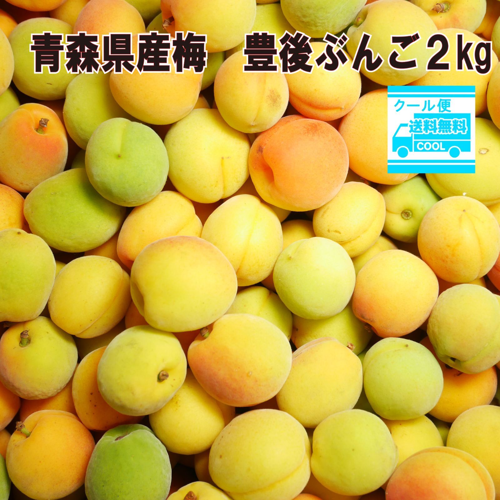 クール便込み 青森県産 完熟 梅 豊後2kg 送料無料！ - メルカリ