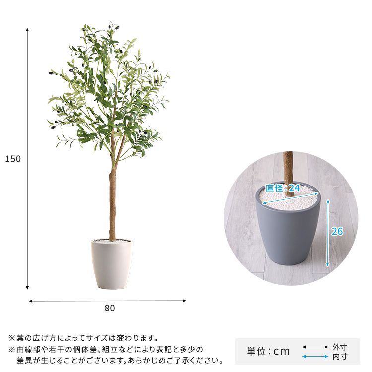 鉢付 Mサイズ