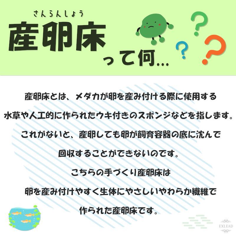 メルカリShops - めだかの産卵床 完成品 6個セット 豆カフェ めだか 激採れ カラーはランダム