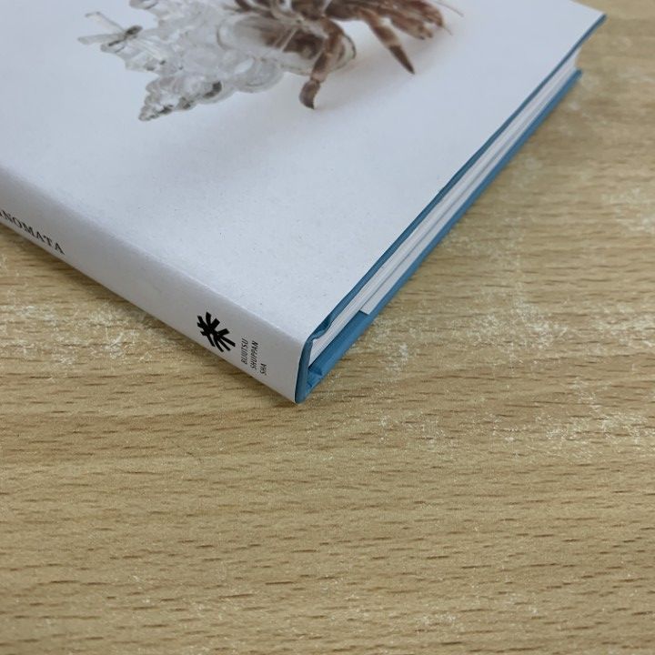 ○01)【同梱不可】【サイン入り】AKI INOMATA Significant