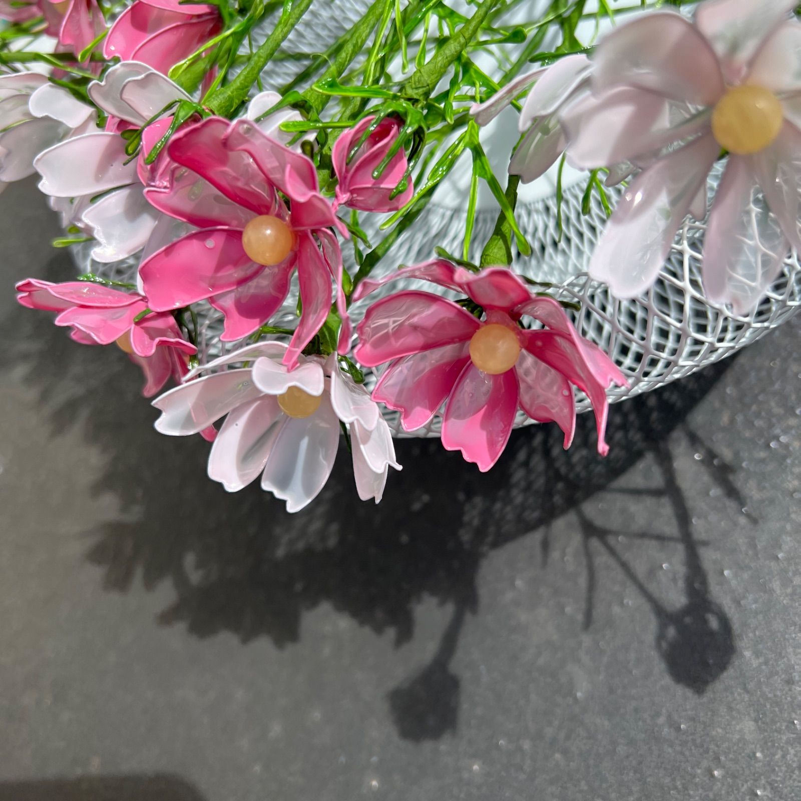 秋本番‼️アメリカンフラワーコスモス、お花いっぱい、蕾