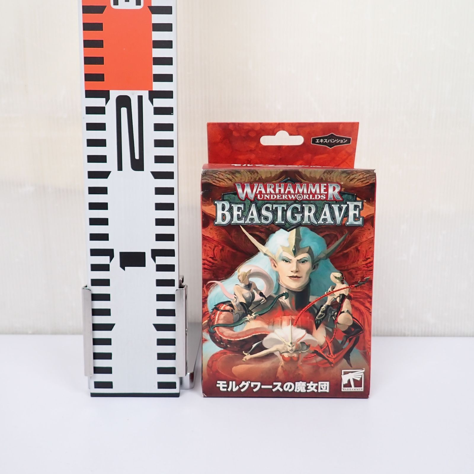 ウォーハンマー アンダーワールド 日本語 モルグワースの魔女団 【公式