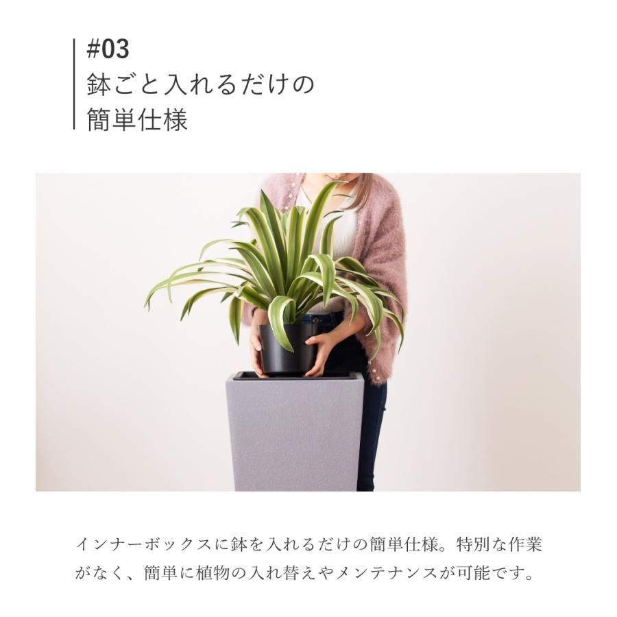 観葉植物 シンプル