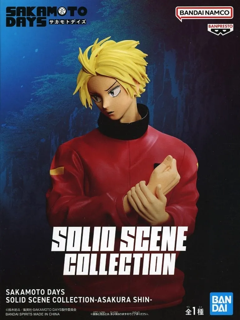 2026年最新】SOLID SCENE COLLECTION ASAKURA SHINの人気アイテム