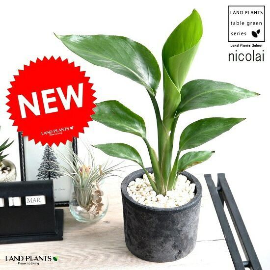 GUCCI ボア素材 ロングパンツ 4サイズ