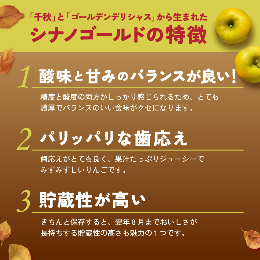 発送中「シナノゴールド3キロ箱A品B品ミックス」 農林水産大臣賞 りんご 長野県産 安曇野 信州産 産地直送