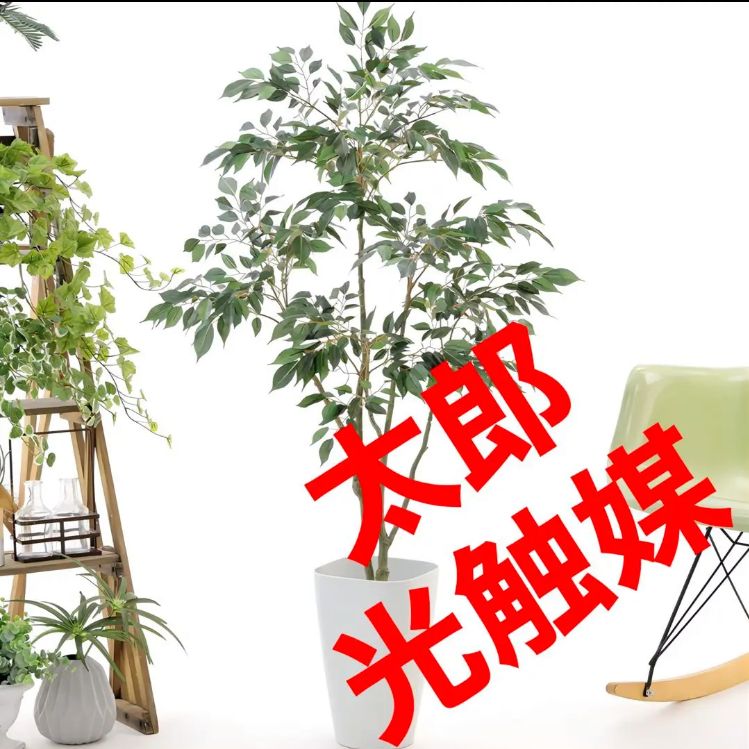 光触媒 人工観葉植物 ウォールグリーン フェイクグリーン ベンジャミン ...