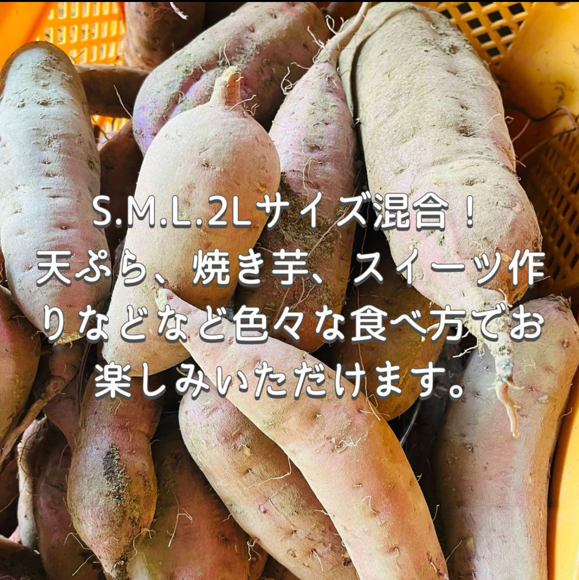 訳あり紅はるか 10kg 送料無料＊茨城県産 - メルカリ