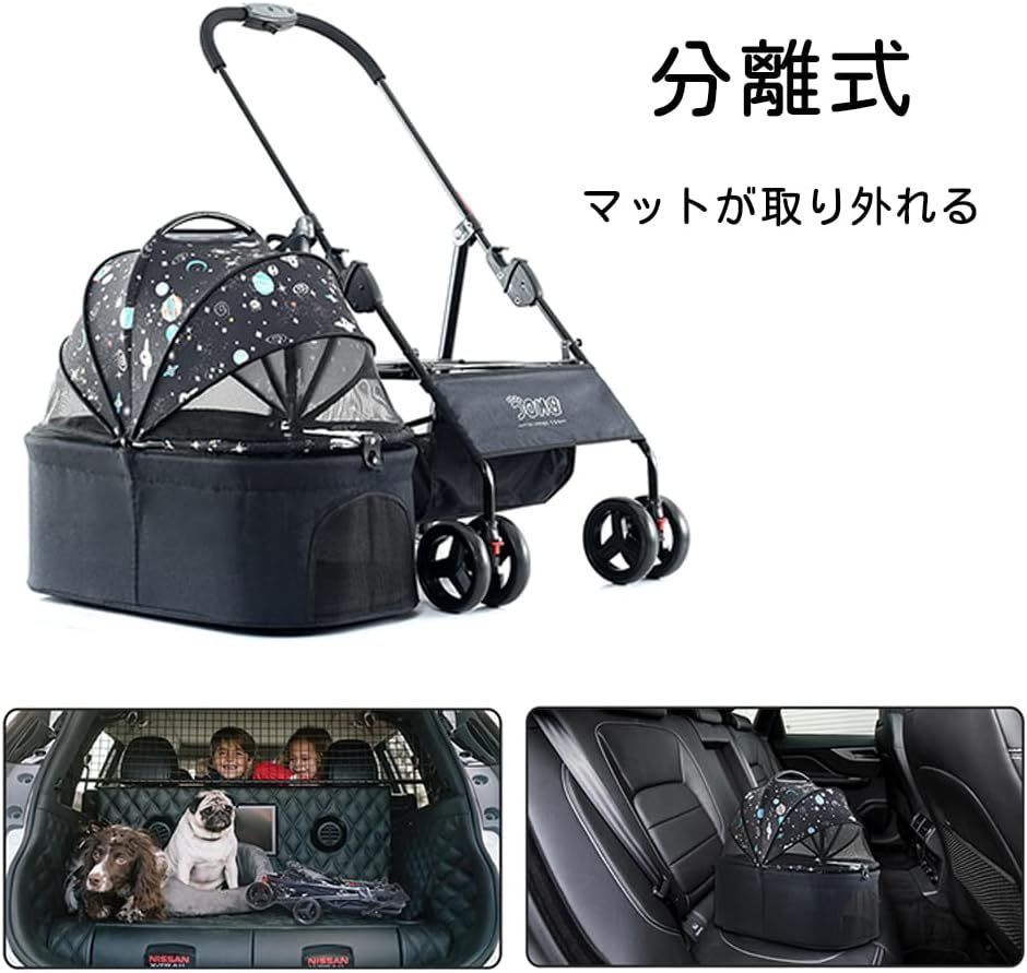 中型犬 老犬