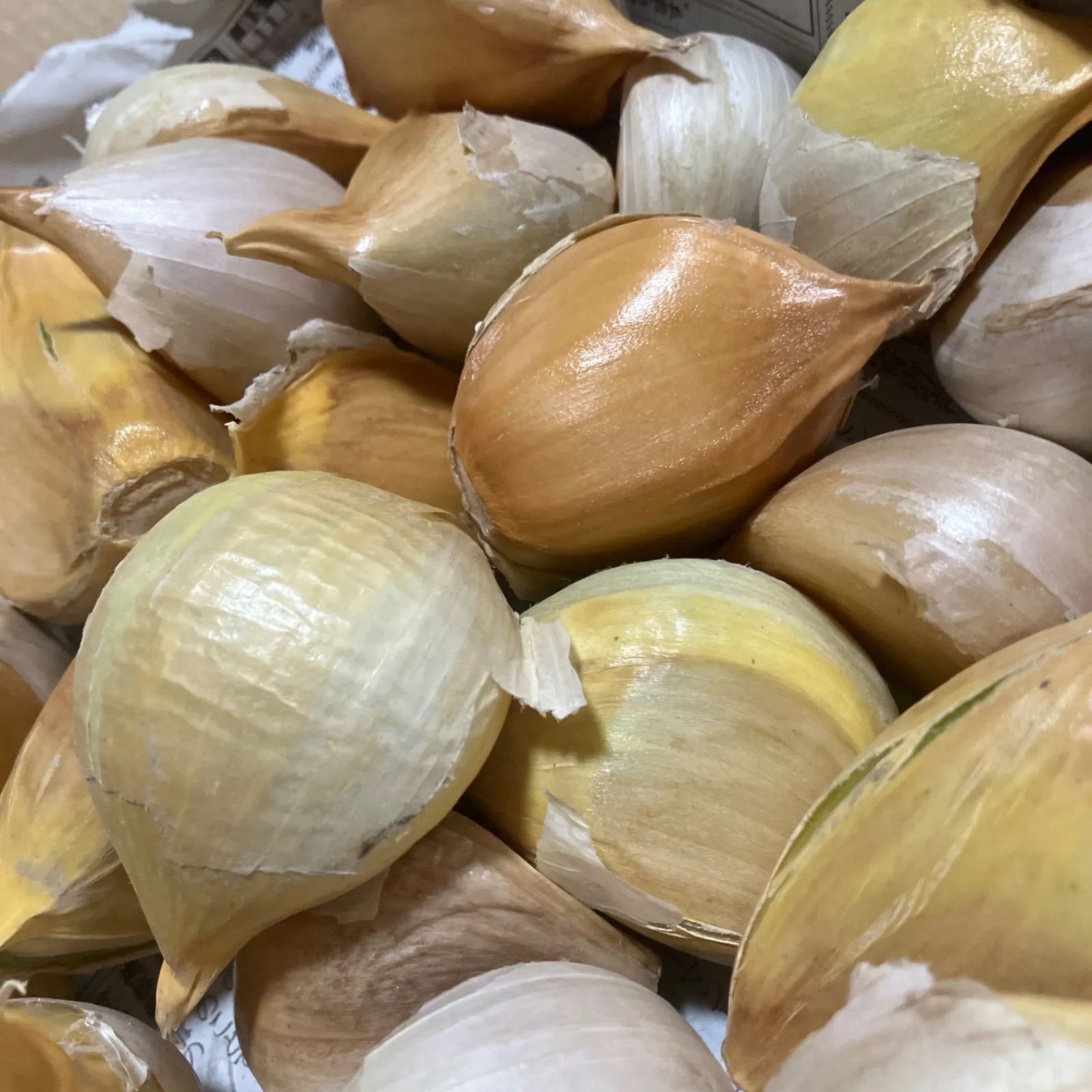 無臭にんにく（乾燥）バラ1㎏/コンパクト 栽培期間中 農薬不使用