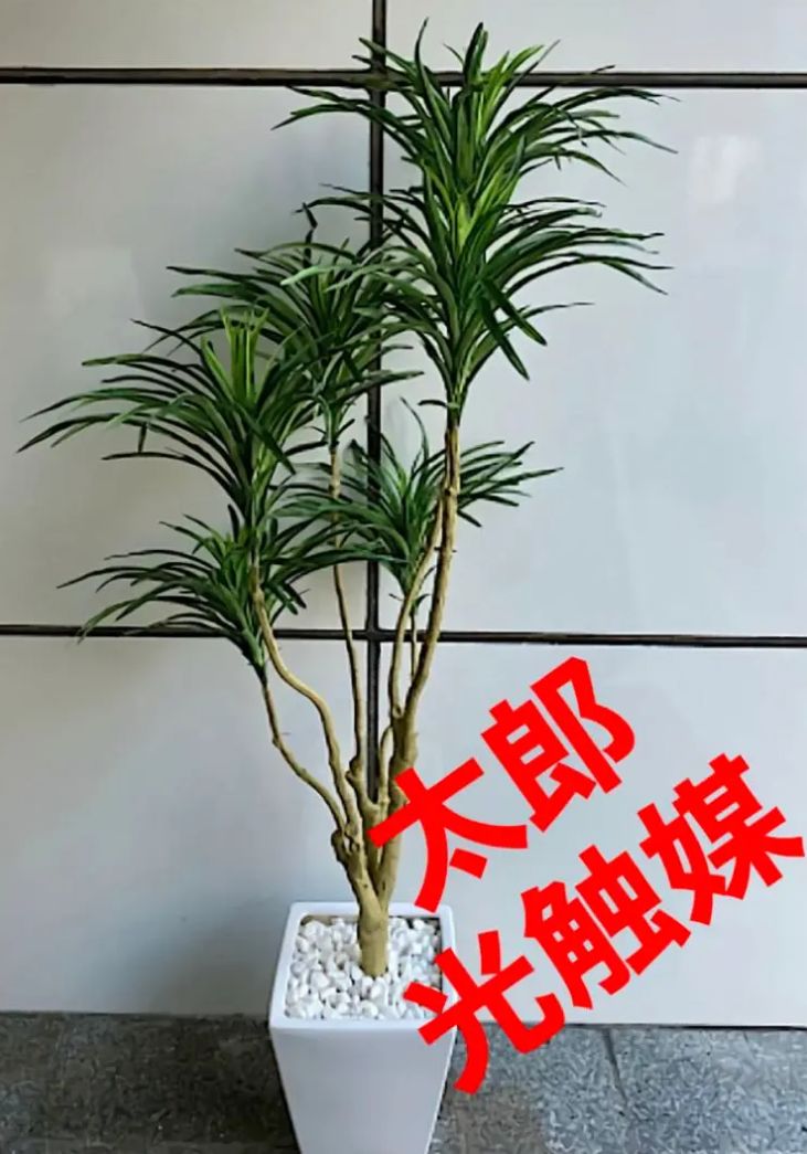 光触媒 人工観葉植物 ウォールグリーン フェイク フラワー コンシンネ