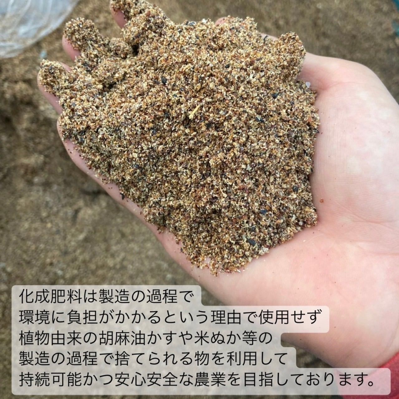【無農薬抹茶】便利な個包装スティック100本入り！溶かすだけ簡単パウダータイプ 便利な個包装スティック】溶かすだけ簡単パウダータイプ 冷茶