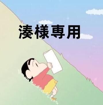 湊様専用11 - メルカリ