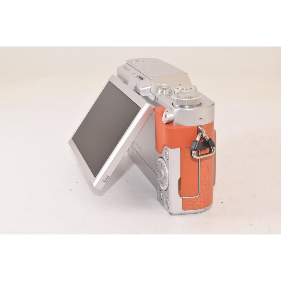 ☆美品☆ Panasonic パナソニック DC-GF10 ボディ オレンジ ショット数