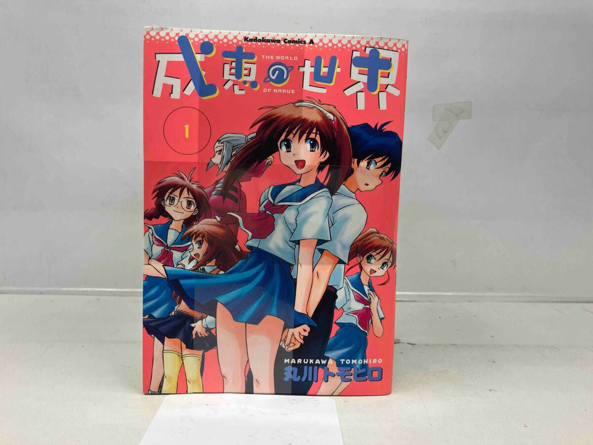 成恵の世界 コミック 全13巻完結セット (カドカワコミックス・エース) Amazon.co.jp: 成恵の世界 (13) (カドカワコミックス・エース
