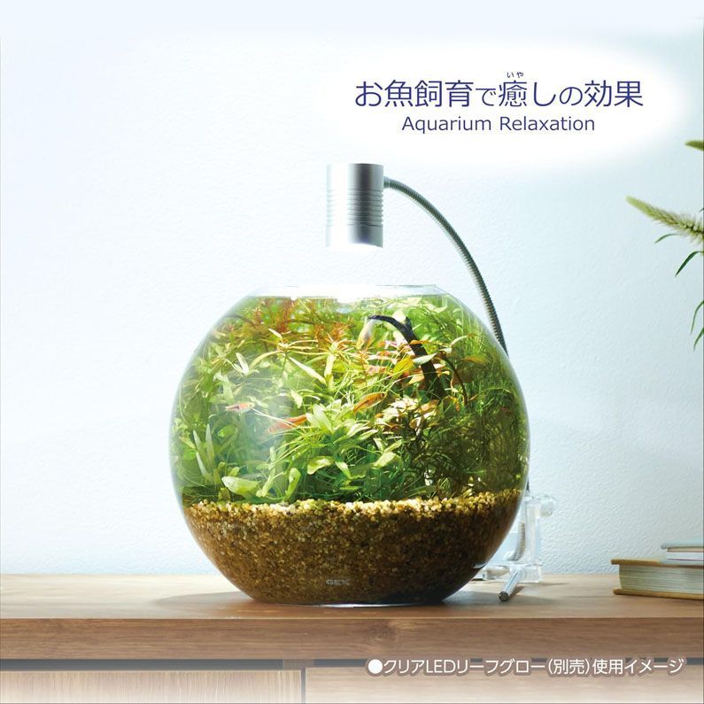 D8230◇未使用 ジェックス MeGreen 新鮮な水草付き グラスアクア