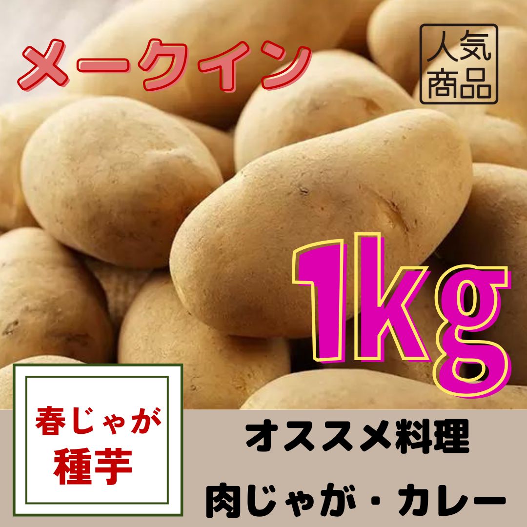 じゃがいも種芋【メークイン】1kg - メルカリ