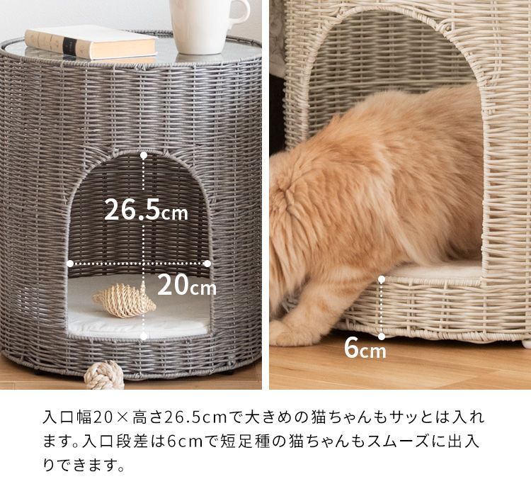 樹脂製ラタン ガラス天板