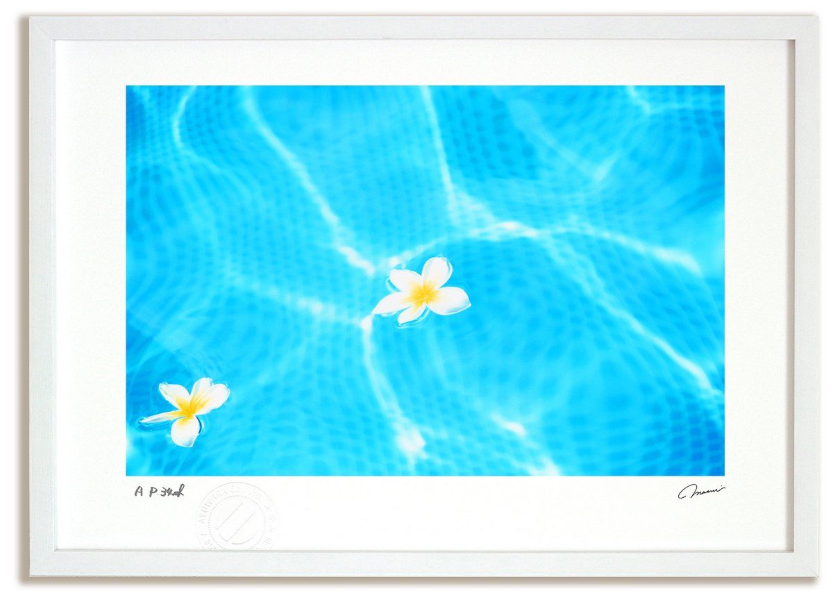 アートフォト 絵画 波間に浮かぶ白花 ハワイ |海 インテリア 額入り 額装込 風景画 油絵 ポスター アート アートパネル リビング 玄関 プレゼント モダン アートフレーム 飾る Mサイズ おしゃれ 壁掛け 絵