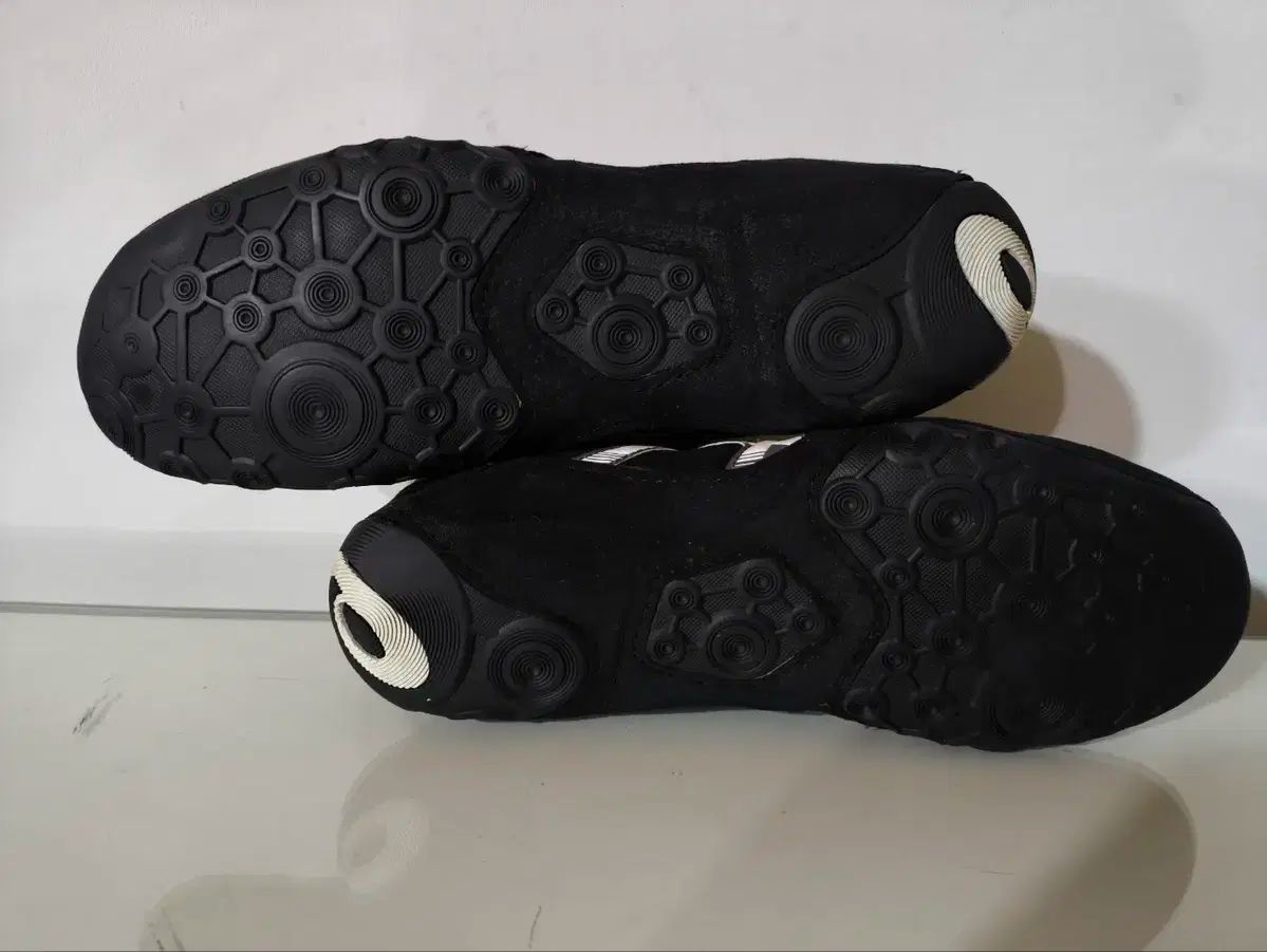 265 mm Asics アシックス ダンケーブルエボ レスリングシューズ