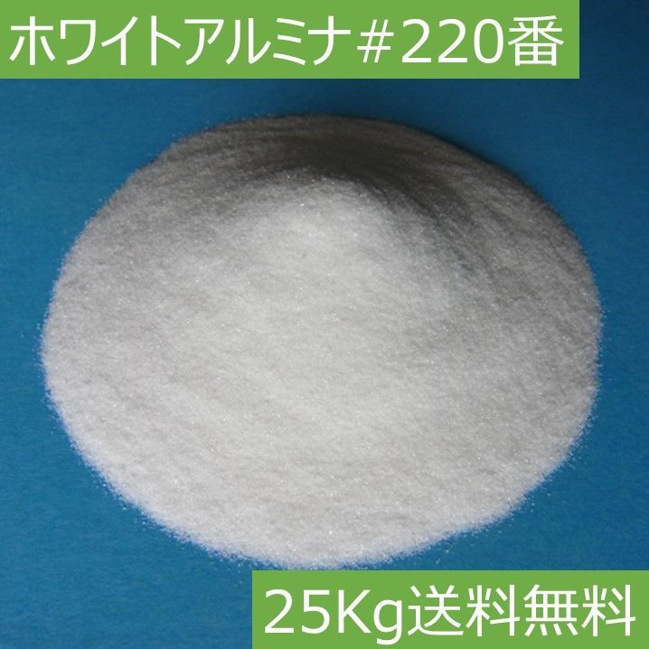 今問い直す脳死と臓器移植 / 沢田 愛子 / 東信堂-限定商品発売中