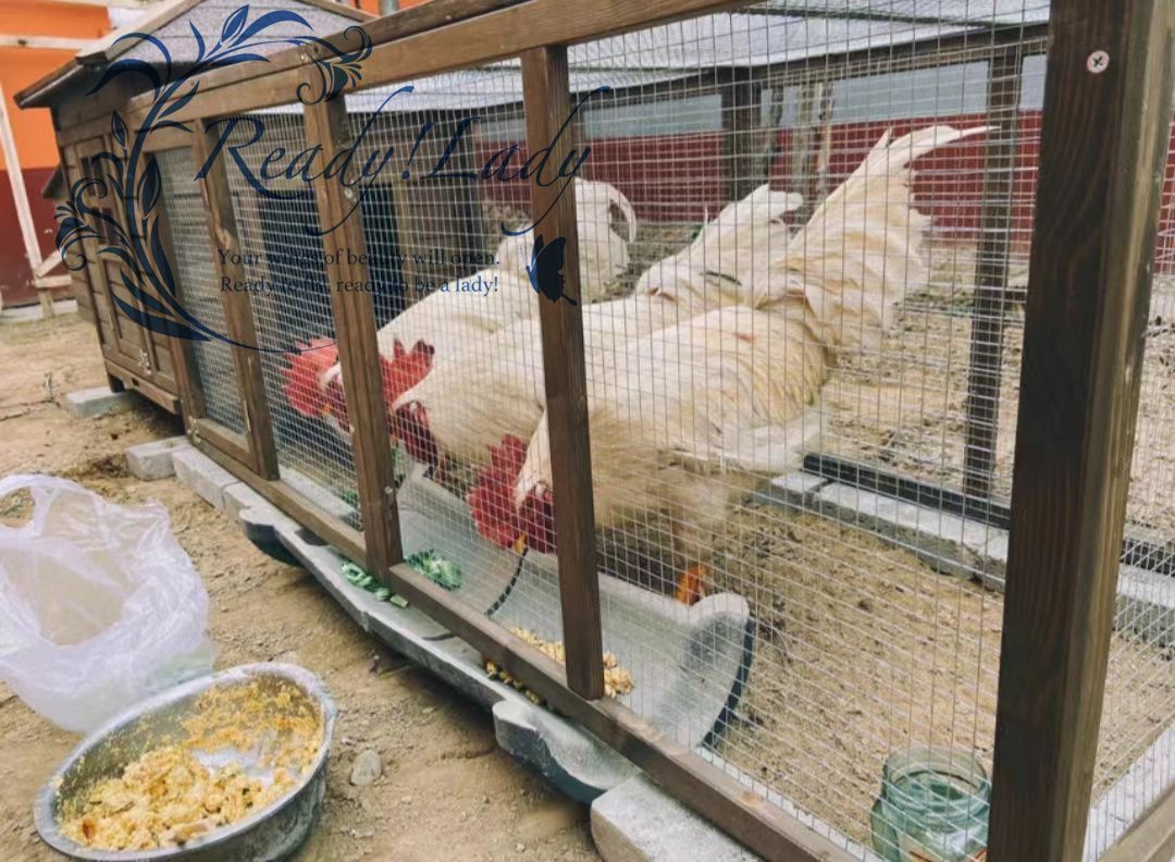 トリ小屋 別墅