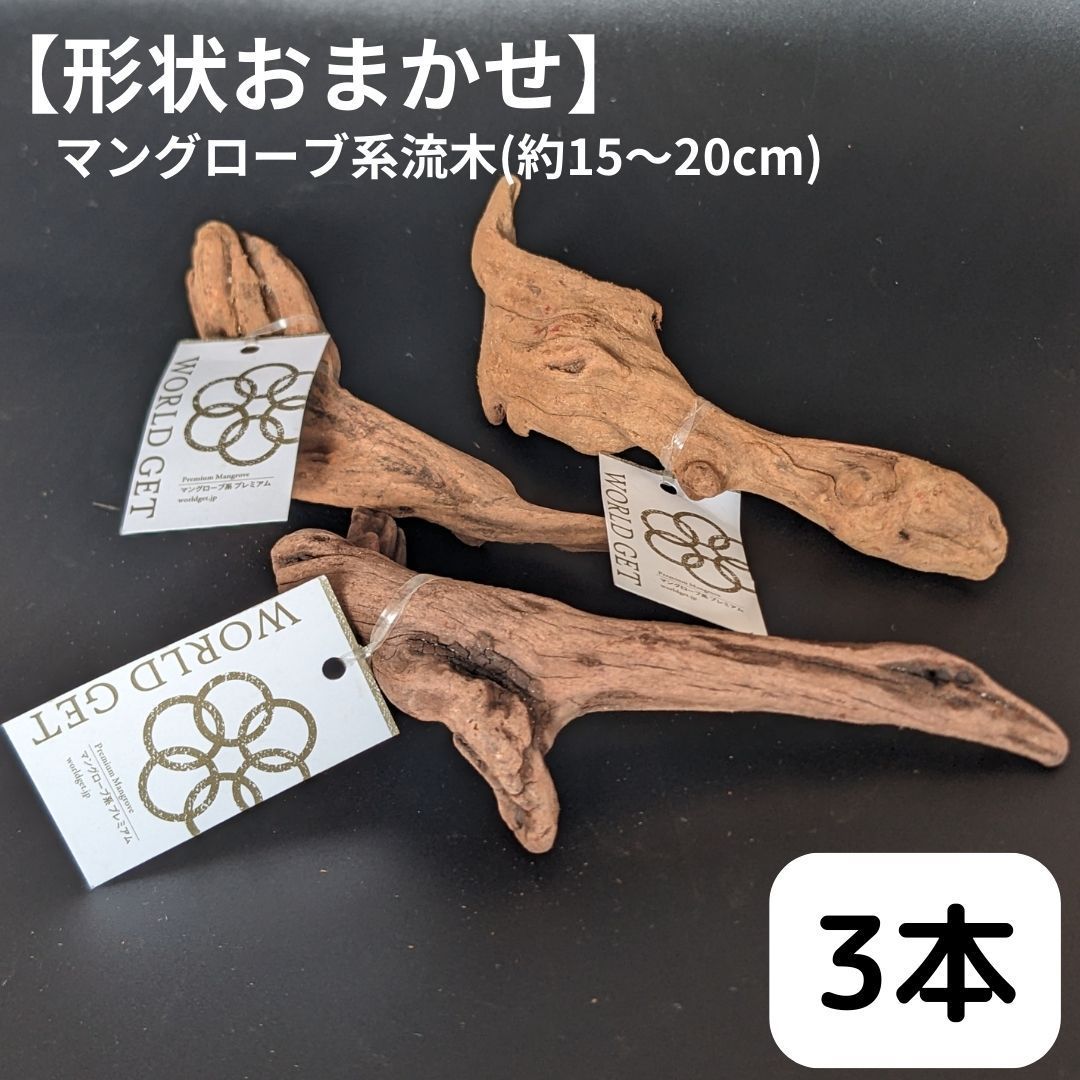 マングローブ系流木-