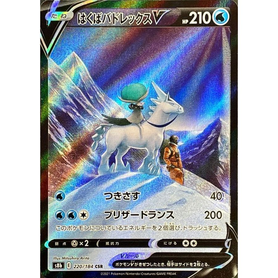 220/184/S8B/B/CSR はくばバドレックスV - メルカリ