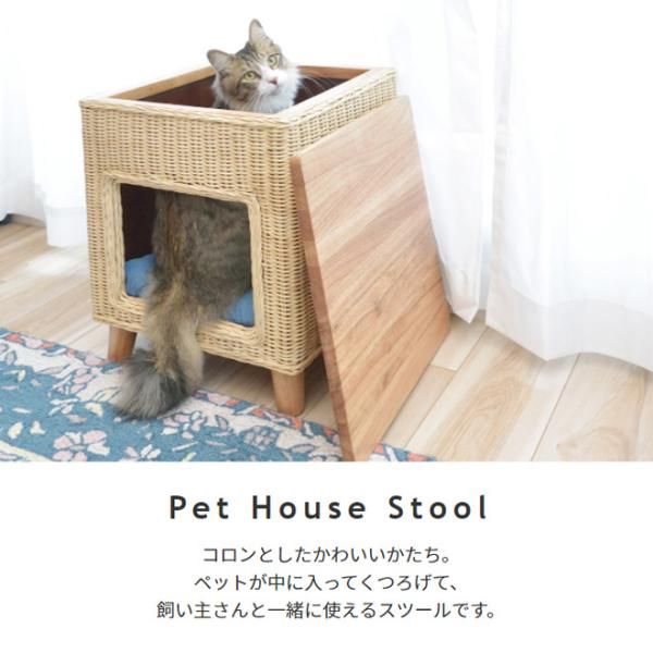 ペット