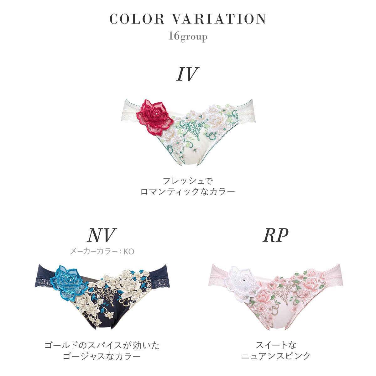 salute サルート 16G 16グループ KO セット E70 フロント ワコール