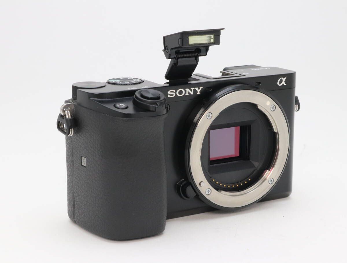 シャッター回数1