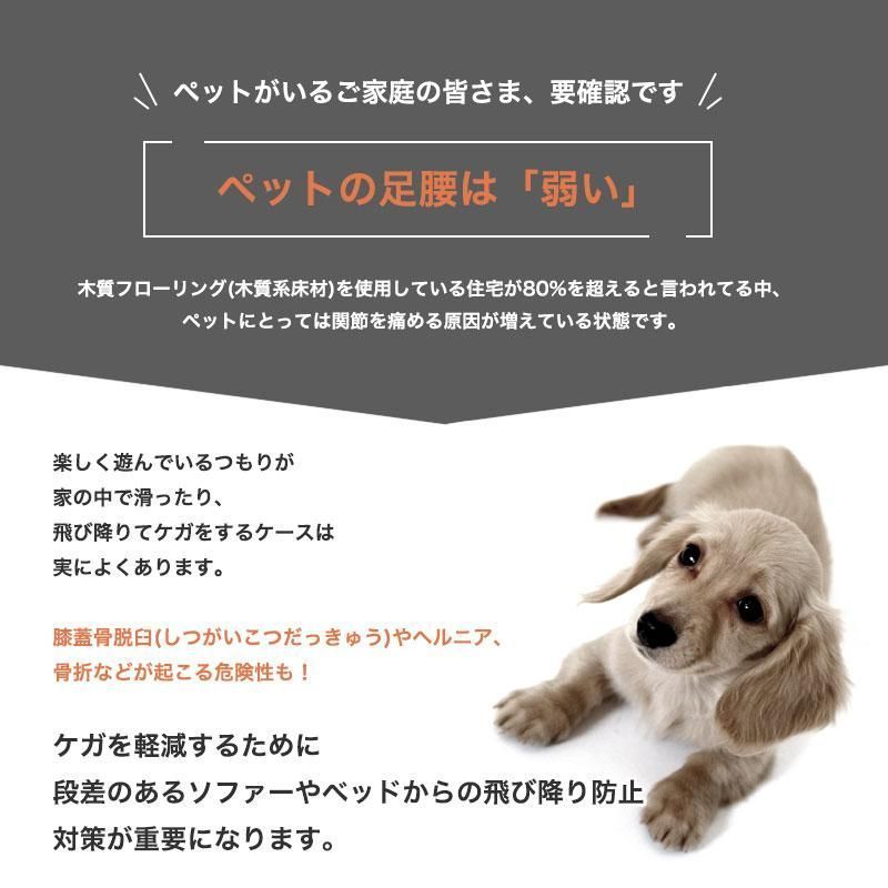 ペットスロープ