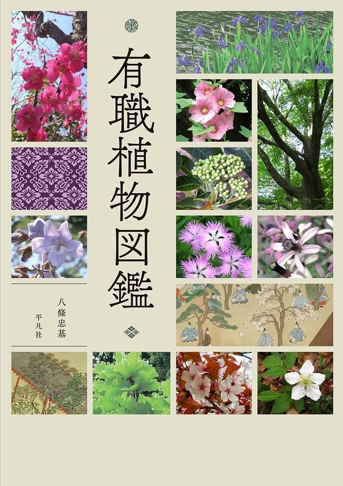 【高品質，SALE】 有職植物図鑑 その他