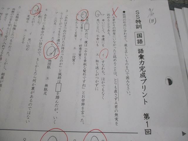 SAPIX サピックス 小6 国語 SS特訓/冬期講習/正月特訓 語彙力完成プリント 全24回フルセット/ファイル付 2024 027m2D SAPIX サピックス 小6 国語 SS特訓/冬期講習/正月特訓 語彙力