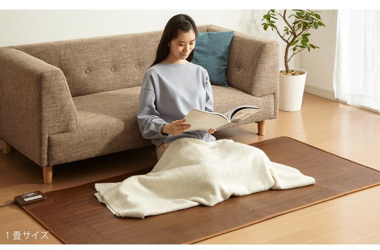 ライトベージュ フローリング調電気マット 1.5畳 176×128cm ホットカーペット 電気マット ホットマット キッチンマット 防水 ブラウン ライトベージュ WWW_KANDAIZUMI_COM