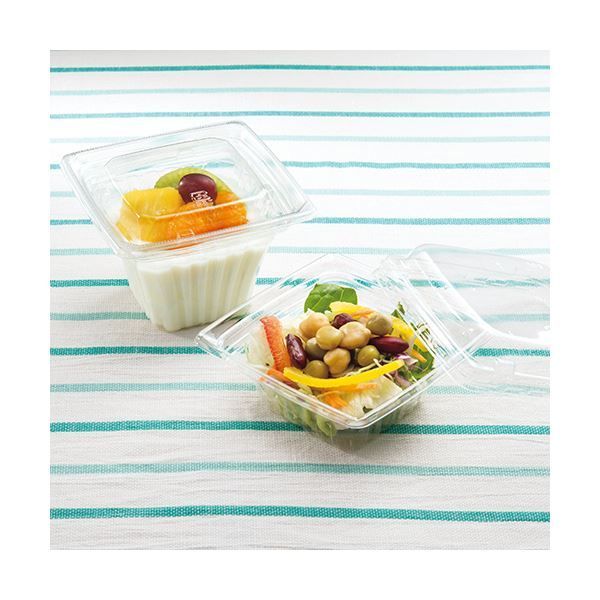 まとめ 中央化学 C APドルチェ 100 38身