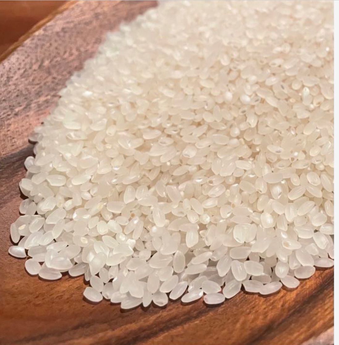 自然栽培 農薬化学肥料不使用 R4年度米 愛媛県産にこまる 天日干し米