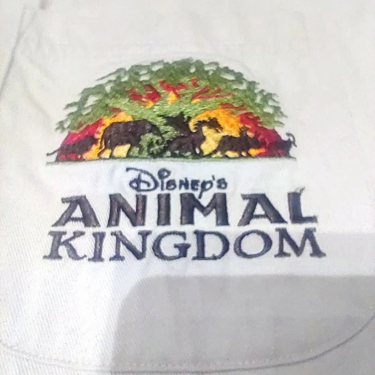 00s Disney animalkingdom buttondown  workshirt