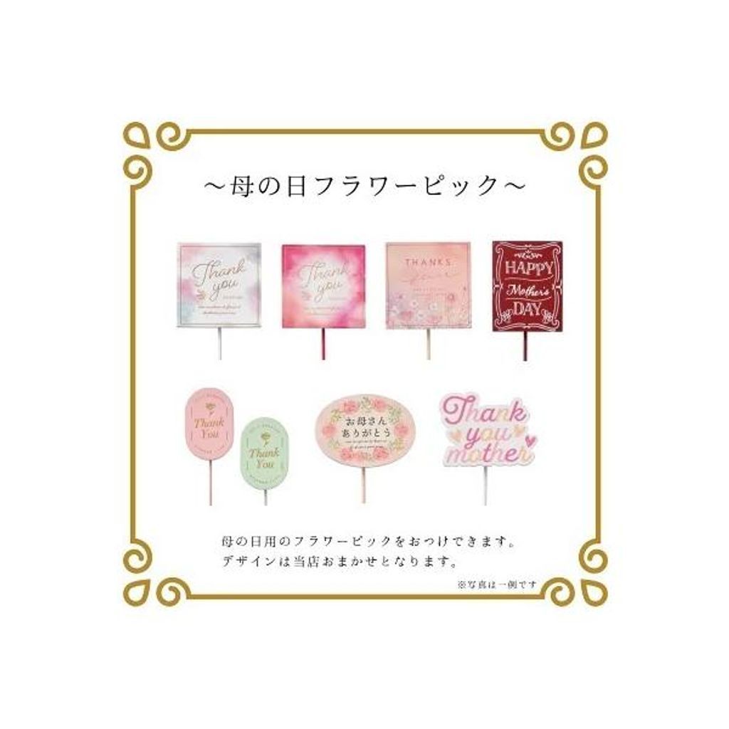 来年育成用アジサイ5種♡メルカリ便 来年育成用アジサイ5種♡メルカリ便 - メルカリ