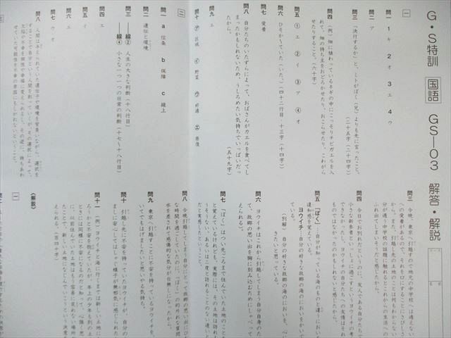 SAPIX 小6 サピックス GS特訓(GSｰ01〜06) 国語 【計6回分】 2023 019S2D SAPIX 小6 サピックス GS特訓(GSｰ01～06) 国語 【計6回分】 2023