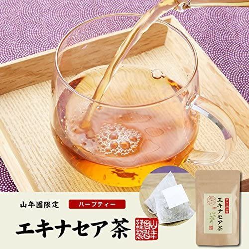 エキナセア茶 2g×10パック【6袋セット】 国産 巣鴨のお茶屋さん 山年園